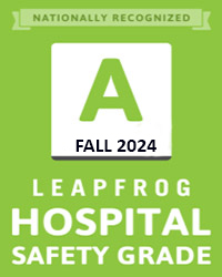 The Leapfrog Group – Fall 2024